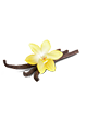 Vanilla saporem